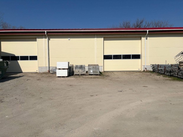 Kiad� rakt�r Als�n�medin