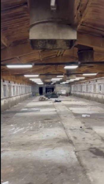 Kiad� rakt�r, csarnok, m�hely