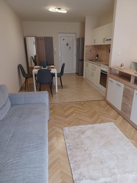 Kiad� t�gla lak�s, Gy�r, Riesz Frigyes utca