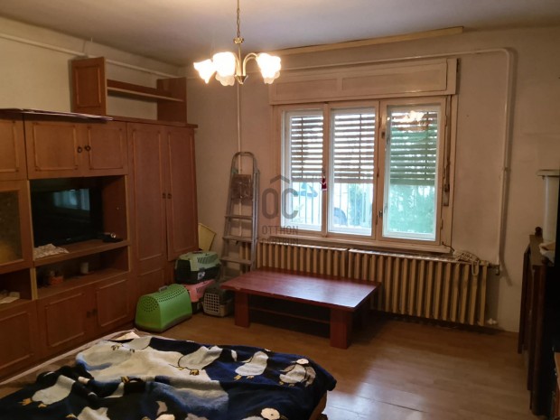 Kicsi Ikerh�zf�l Elad� G�d-Als�n!