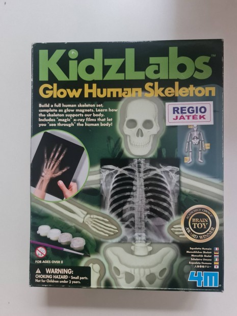 Kidz Labs human skeleton glow 4D gipszkint