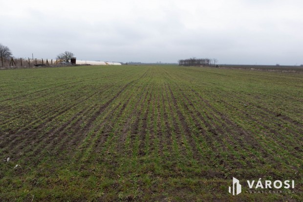 Kiemelt fejleszt�si ter�let R�szke M5 aut�p�lya k�zel�ben