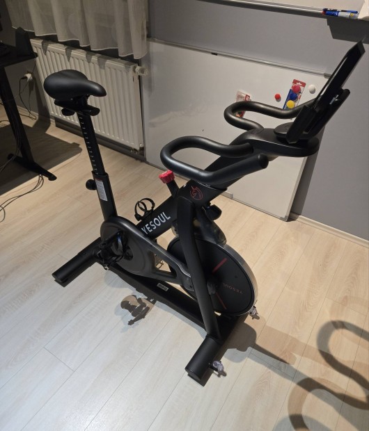 Kifogstalan llapot! Yesoul S3 Spinning Bike Otthoni Szobabicikli