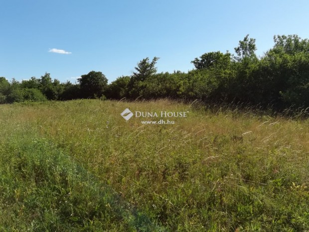 Kincsesb�nyai elad� 1077 nm-es telek