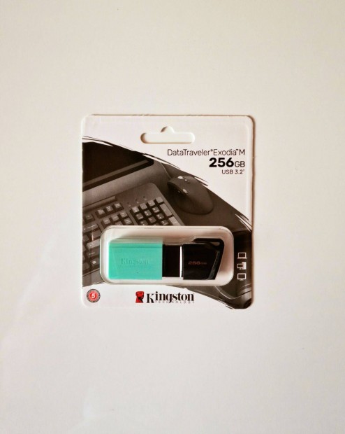 Kingston Datatraveler Exodia M USB 256 GB memria