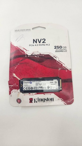 Kingston NV2 250 GB