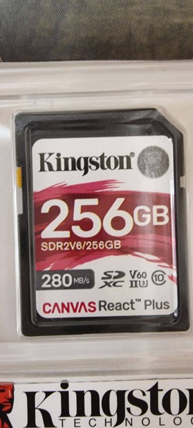 Kingston memriakrtya 256 GB