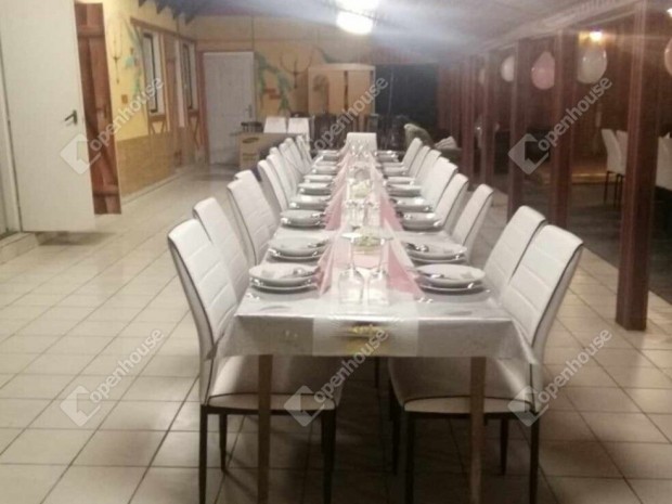 Kis �den panzi�, a term�szet k�zep�n v�rja �j tulajdonos�t.