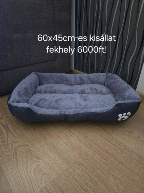 Kisllat fekhely