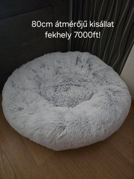 Kisllat fekhely