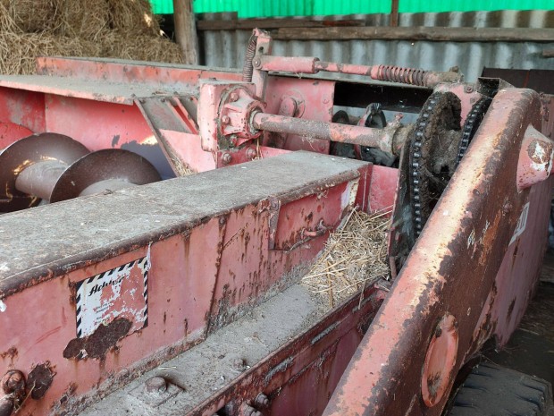 Kiskockab�l�z�