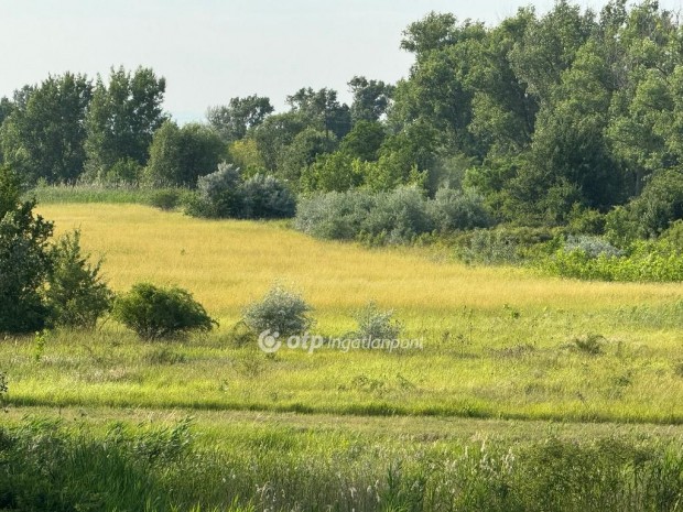 Kisk�rei elad� 3638 nm-es telek