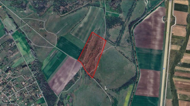 Kiskundorozsma, 5,8 ha rét legelő - támogatással