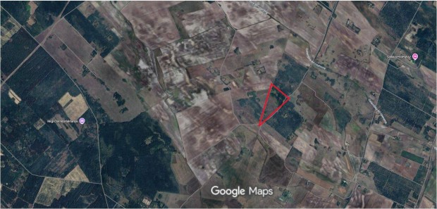 Kiskunf�legyh�za 115 TN �s 115 A erd�r�szlet, 0541/1/a