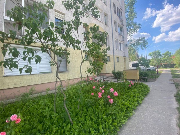 Kiskunhalas Esze Tams laktelepen 45 m2-es, 3. em. 1 szobs laks!