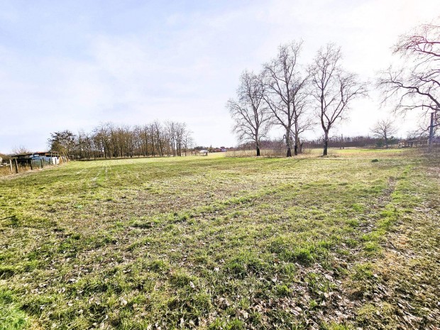 Kiskunhalas Hat�les �ton 1.33 Ha ter�let elad�!