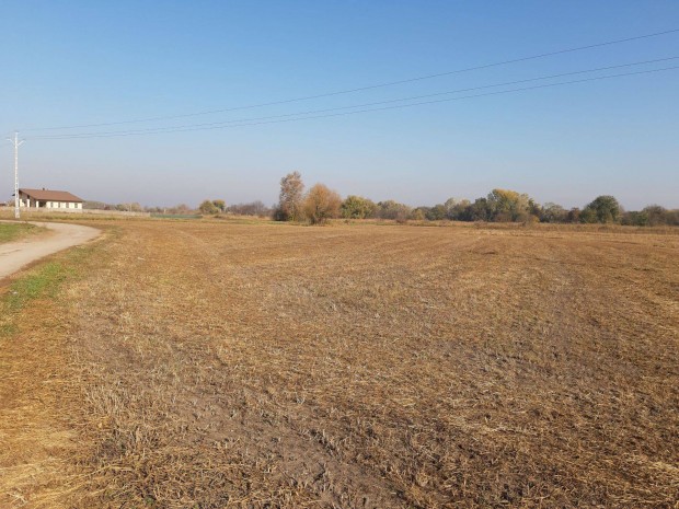 Kiskunhalas Kertv�rosi, oszthat� fejleszt�si ter�let elad�!