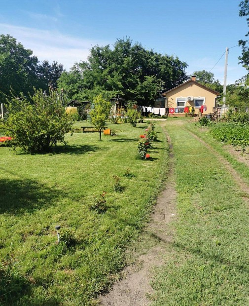 Kiskunhalas S�st�n hangulatos kis h�z parkos�tott udvarral!