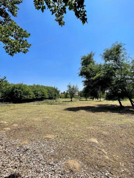 Kiskunhalas, Fridrich Lajos utca k�zel�ben, 5563 m2-es ter�let elad�