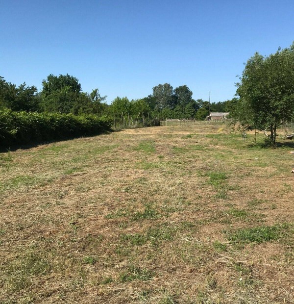 Kiskunhalas - Als��regsz�l�kben 3160 m2 z�rtkert elad�!