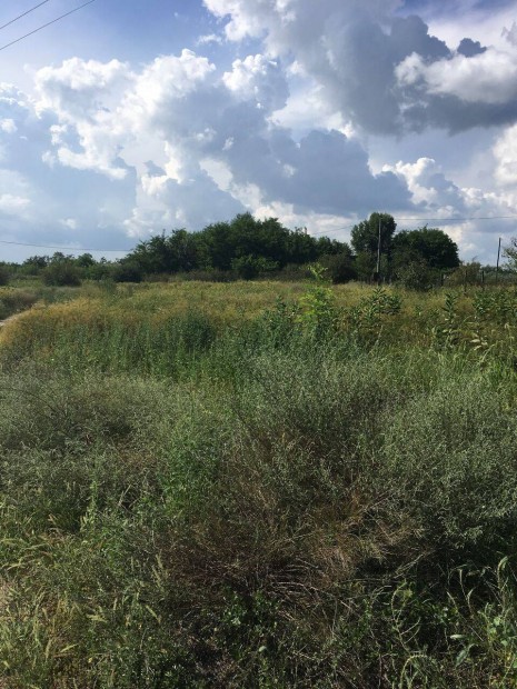 Kiskunhalason 5056 m2 �p�t�si telek elad�!