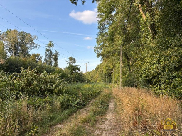 Kiskunlach�z�n ikerh�zak �p�t�s�re alkalmas telekegy�ttes! 1187