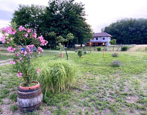 Kiskunmajs�n fel�j�tott tanya 1 km-re a term�lf�rd�t�l!