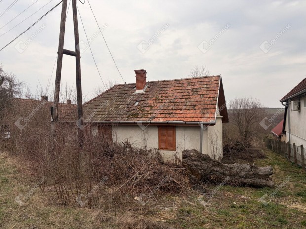 Kiskutasi 97 nm-es h�z elad�