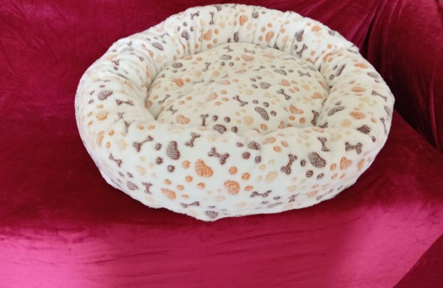 Kiskutya fekhely