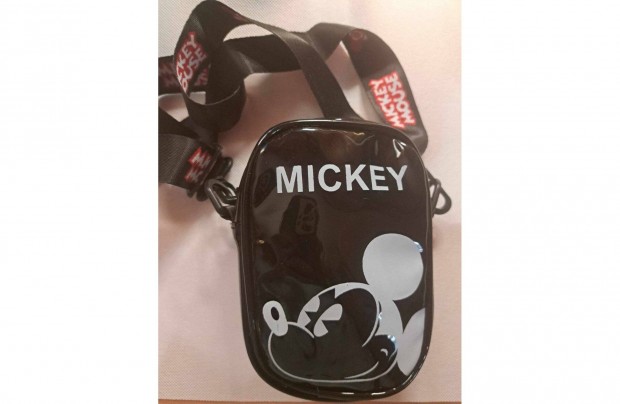 Kistska Mickey mintval