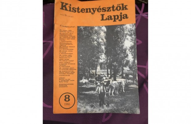 Kistenysztk lapja 500 Ft