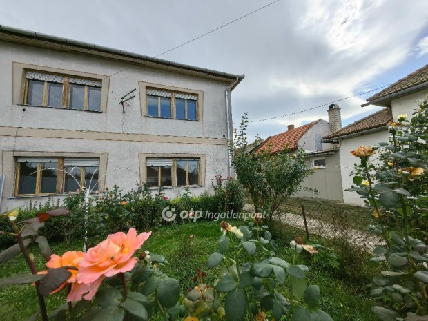 Kis�jsz�ll�si 165 nm-es h�z elad�