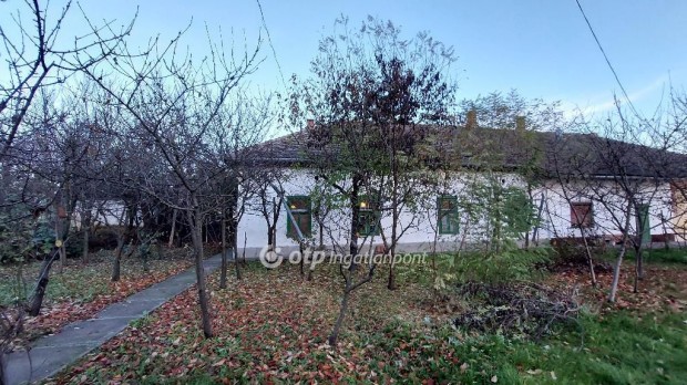 Kis�jsz�ll�si elad� 110 nm-es h�z