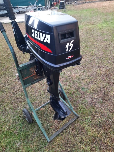 Kitn llapot Selva 15le rvid tribes