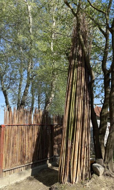 Kivgott bambusz szlak 