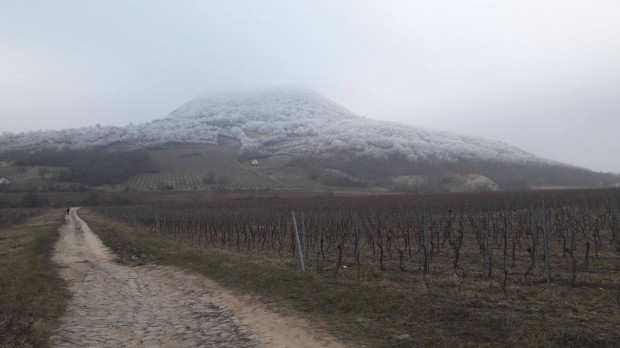 Kiv�ll� �llapot� sz�l��ltetv�ny