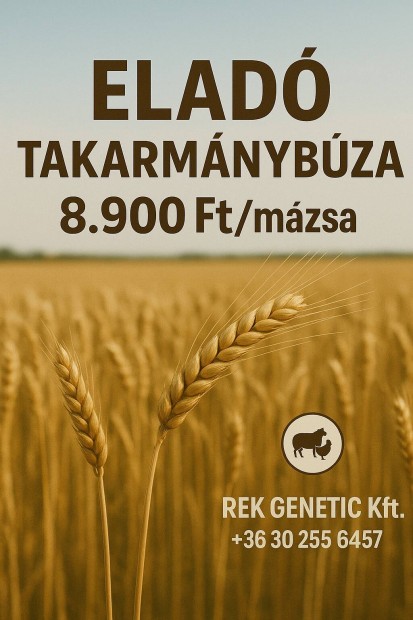 Kivl Minsg Bza Elad Zskolva
