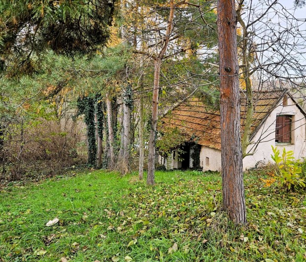 Kiv�l� �r-�rtek ar�ny� telek gazdas�gi �p�lettel elad� Als�p�hokon