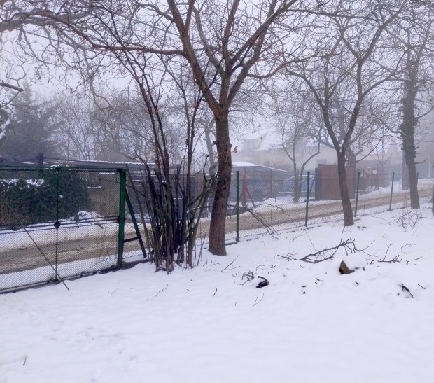 Kiv�l� helyen l�v� telek nagyszer� szomsz�dok mellett elad�