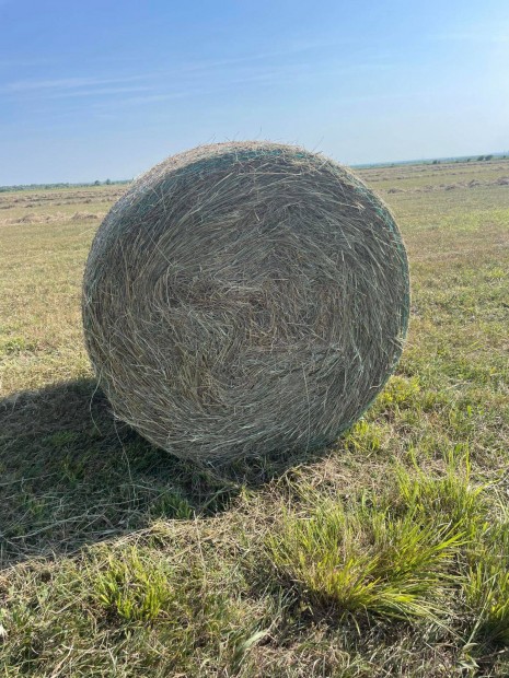 Kivl minsg, idei szna bla