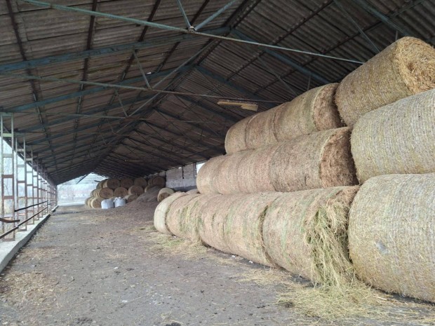 Kiv�teles adotts�g�, 7.5 hekt�ros mez�gazdas�gi birtok