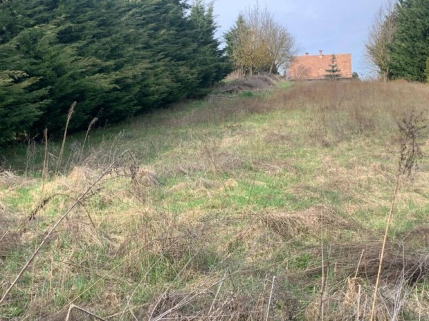 Kiv�teles lehet�s�g! K�zel a term�szethez! :)