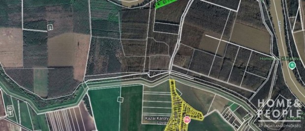 Kl�rafalv�n erd� elad�! - Kl�rafalva