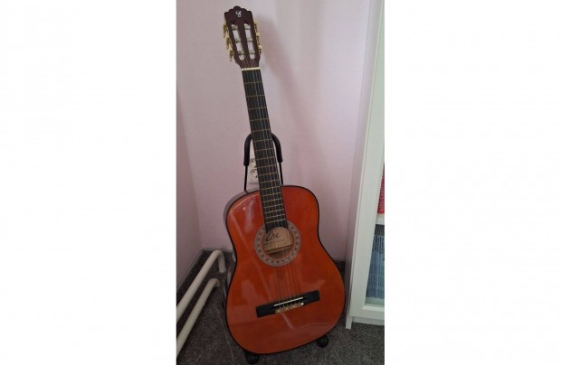 Klasszikus gitár, eko gitár