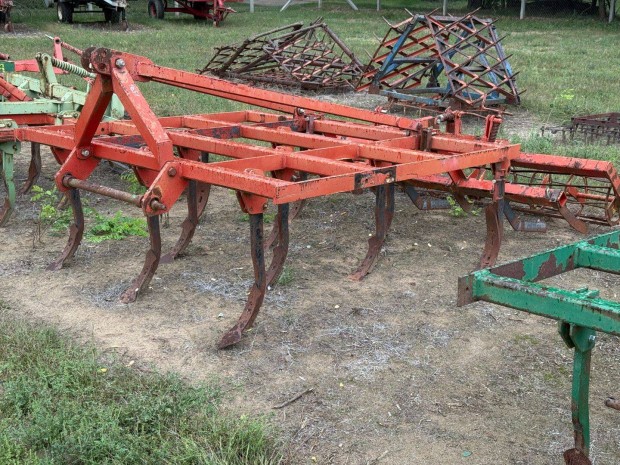 Knoche 11 kses grubber (grber) Regent, Vogel Noot, Rabewerk