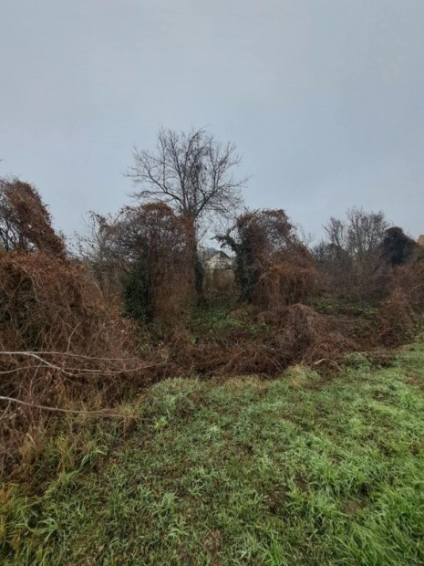 Kocsi elad� 1302 nm-es telek