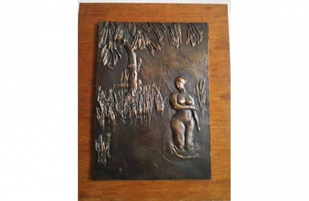 Kocsornyik Jnos bronz plakettje: Zsuzsanna s a vnek