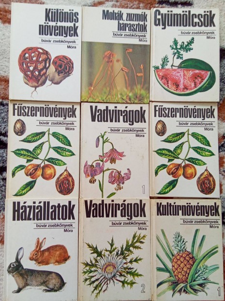 Kolibri És Búvár zsebkonyvek 43 darab egyben eladó
