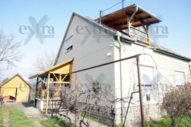 K�lt�zz�n �jszegedre