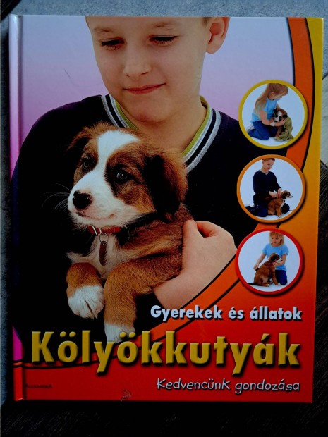 Klykkutyk, kedvencnk gondozsa, knyv